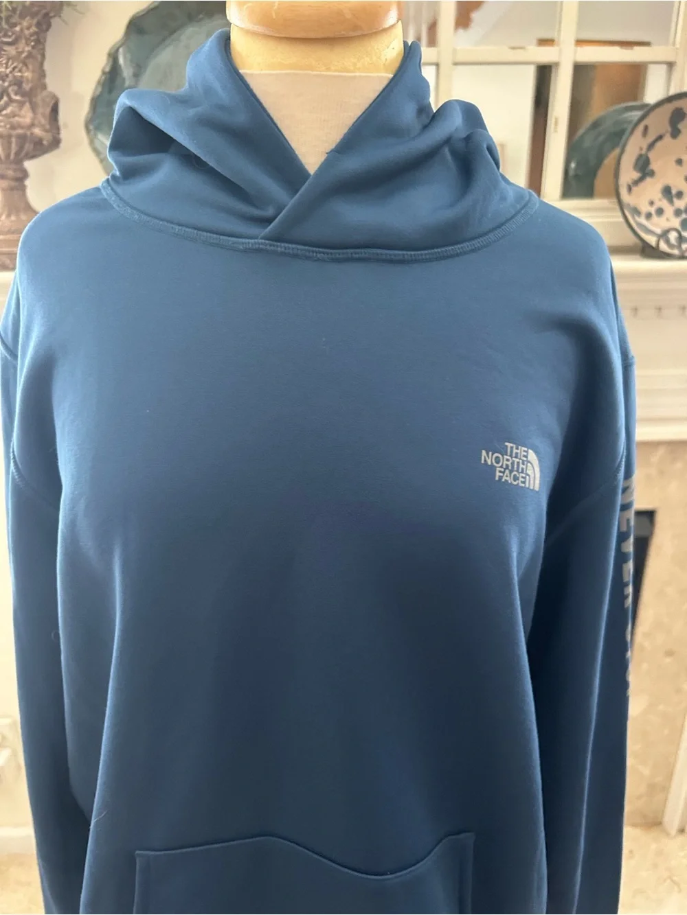 The North Face Men's Navy Pullover Hoodie - Never Stop Exploring